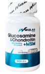 Glucosamine & Chondroitin + MSM Tab